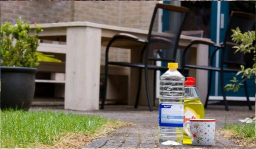 Schoonmaakazijn Tegen Onkruid