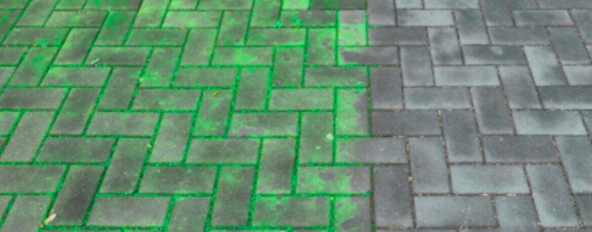 Zo Verwijder je Groene Aanslag: Tips voor een Stralende Tuin