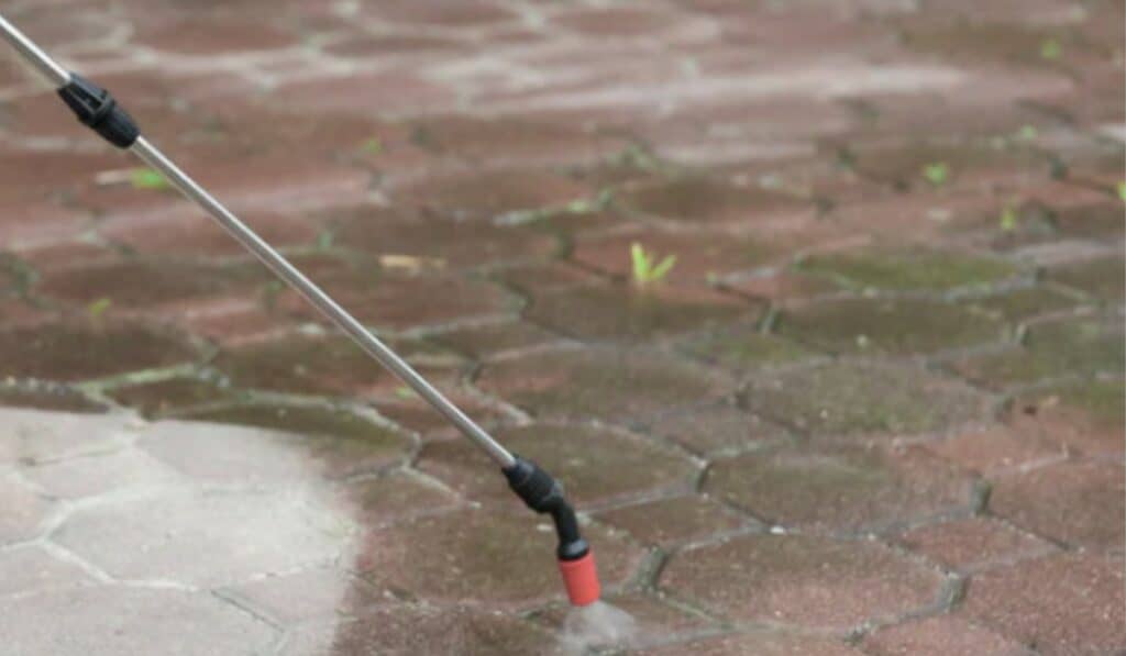 Groene Aanslag Verwijderen