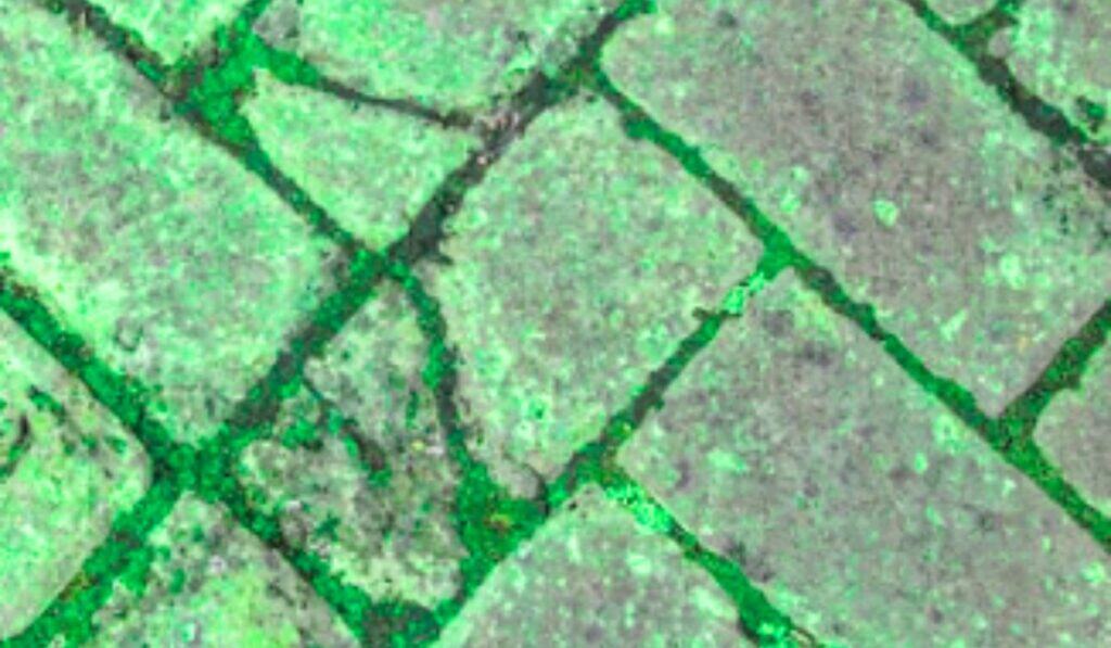 Groene Aanslag Verwijderen