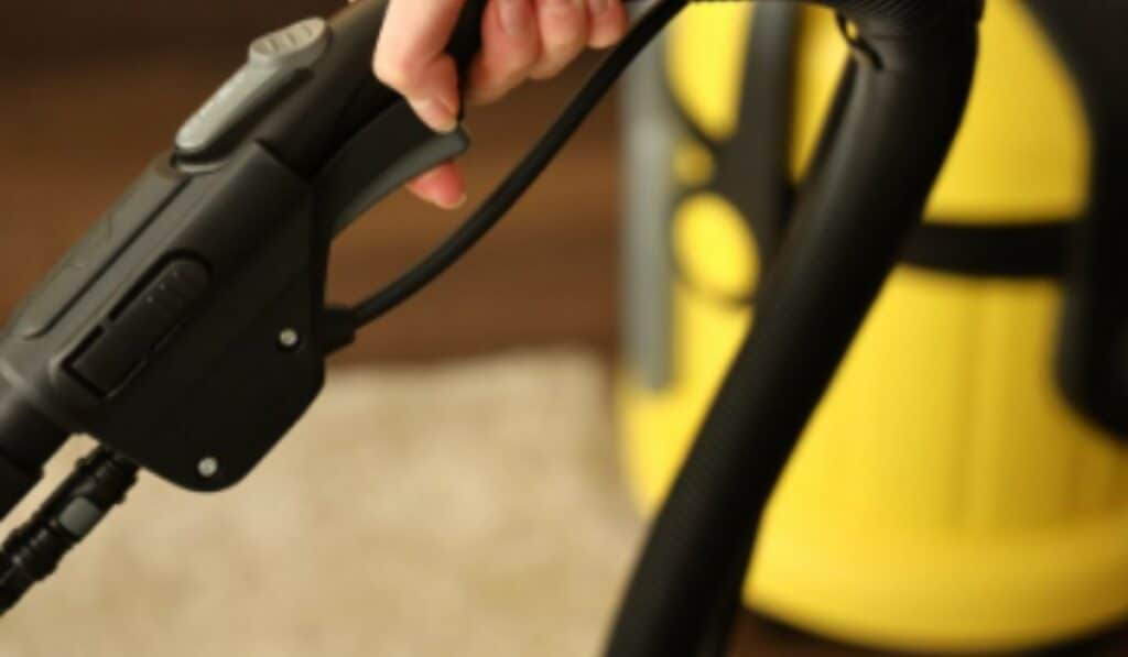 Beste tapijtreiniger