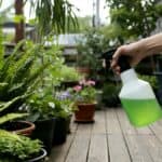 Krijg een schoon terras met groene aanslag reiniger verwijder mos en algen nu snel