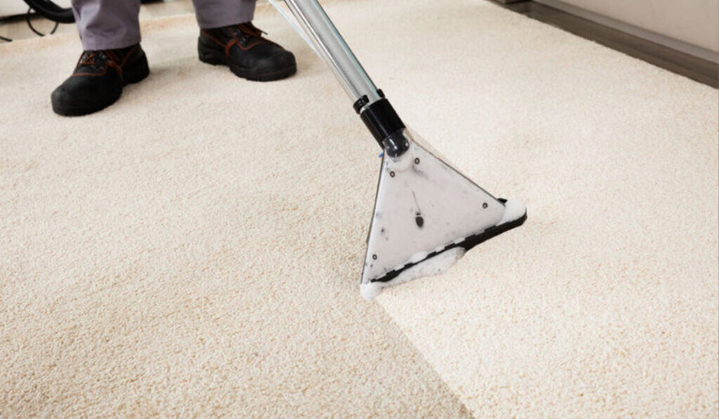 Tapijt reinigen: schoonmaaktips voor een fris en schoon tapijt