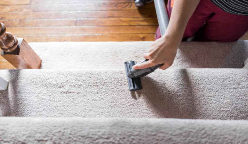 Tapijt reinigen zonder chemicaliën