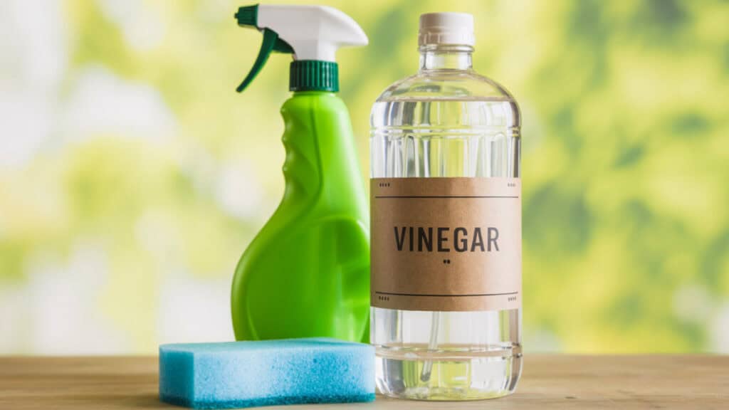 Verschil tussen Natuurazijn en Schoonmaakazijn