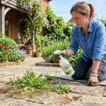 Schoonmaakazijn tegen onkruid: werking, gebruik en effect