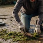 Mos Verwijderen Terras: Effectieve Methoden Tegen Mos En Algen
