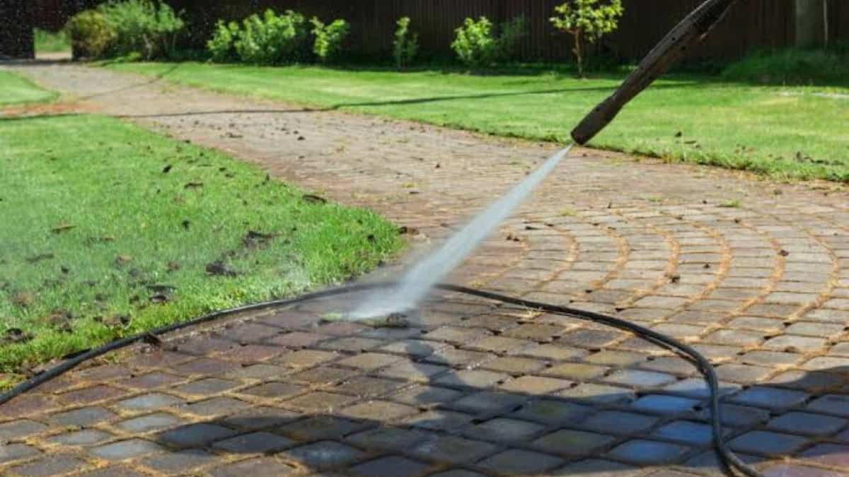 Schoonmaakazijn tegen onkruid: Werkt het echt tussen tegels, op het terras en in voegen?