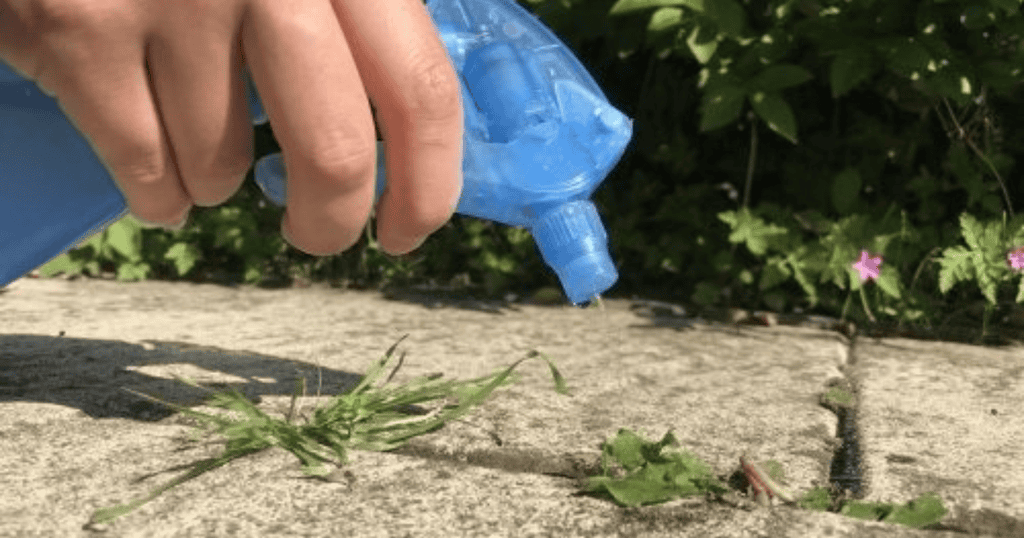 Schoonmaakazijn tegen onkruid
